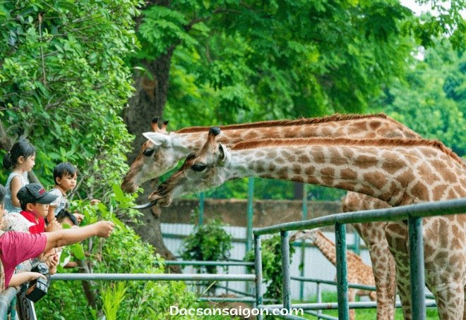 Thảo Cầm Viên tháng 3 – Địa điểm vui chơi Sài Gòn vừa hấp dẫn vừa nhiều quà tặng